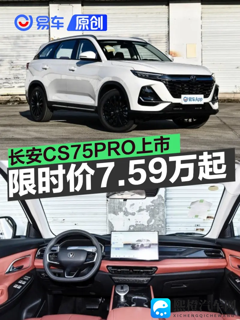 美乐蒂melody满天星:汽车新贵:设计独特,性能卓越,销量火爆-2