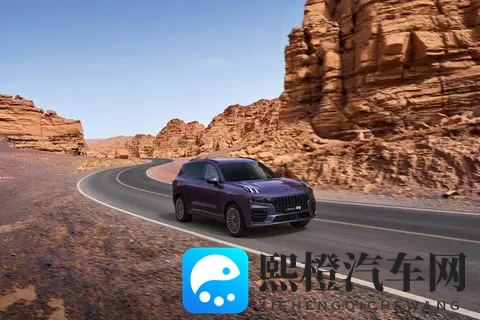 麻花传mdr免费版国语:《麻花传奇MDR免费,全语音享受》-2