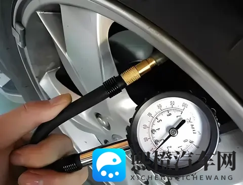 99热只有精：独家内容仅限99热粉丝观看-3