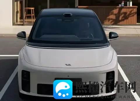 新势力10月销量:零跑、蔚来破纪录,理想却在保命-3