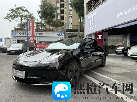 11万多拿下21年特斯拉Model3，代步通勤比油车香？-1