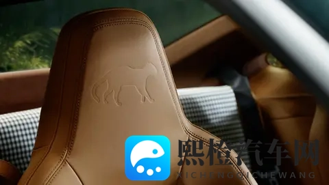 以自然景观为定制开发灵感,保时捷911 GT3 ‘Ocelot’正式发布-2