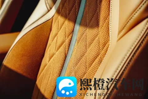 Nappa真皮普及背后:车企宣传的“文字游戏”该停了-3