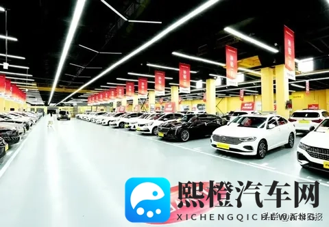 “00后”小伙从懂车帝网购人生第一辆二手车:不草率,大平台有保障-1