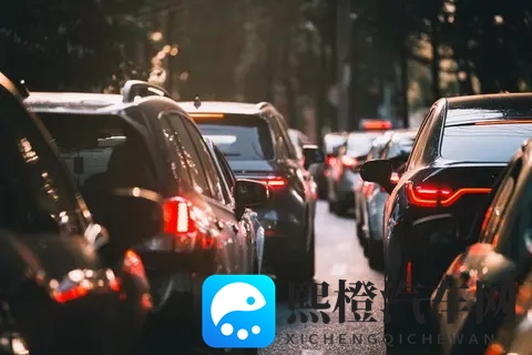 新能源神话破了？燃油车连涨4月，占比近半-1