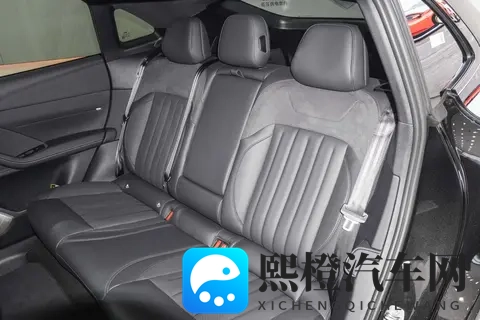 2359 万可换电更保值？家用纯电乐道 L60 740km 续航 119kWh 能耗解读-2