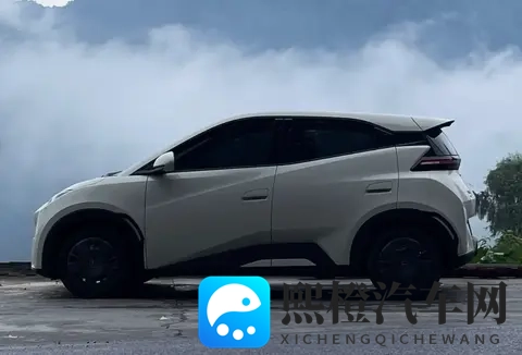 海豚优缺点大实话:买菜接娃超顺手,长途出行就露怯-2