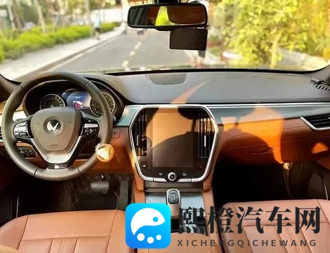 越南杀出一匹黑马!本土品牌VinFast把丰田、本田打得找不着北?-3