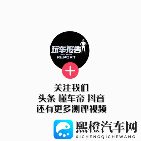 Model Y迎来传统豪华挑战者，全新宝马iX4渲染图曝光-2