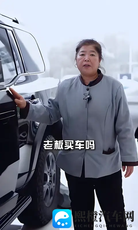 保洁阿姨成“车圈顶流”，素人营销的流量狂欢和思考-2