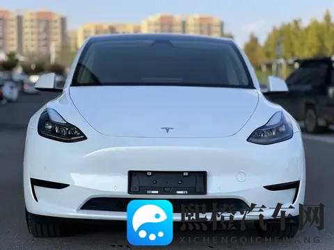 17万多入手准新特斯拉Model Y,都市代步优选-2