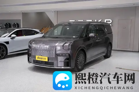 极氪009七座过道版：超五成用户家用，家用MPV选它合适吗？-1