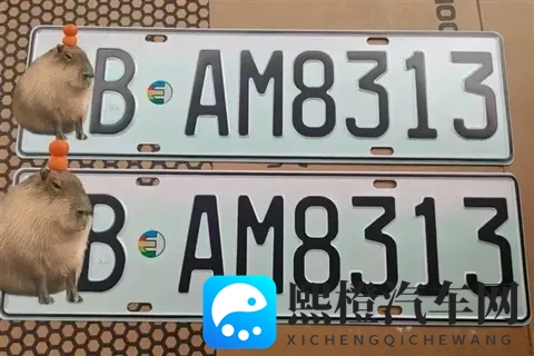 新能源绿牌用“UV灯”照射后能变白牌 网友:帅 但蜀黍不认-1